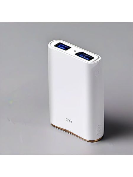 10000mAh Power Bank - Essential
